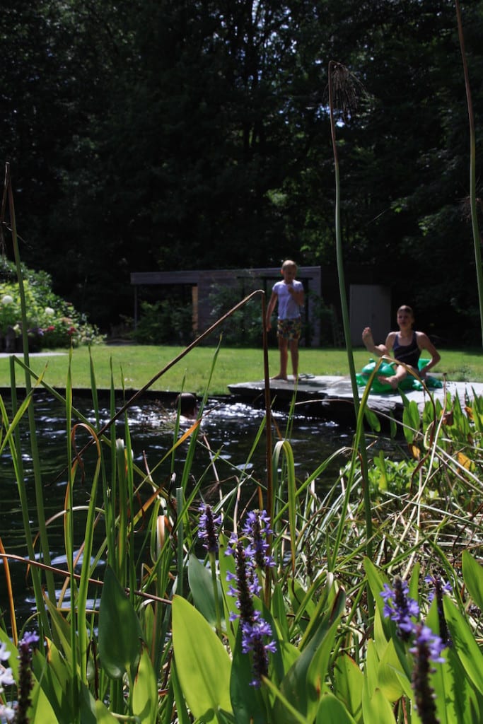 Zwemvijver in je tuin